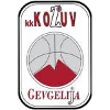 https://img.cdhjml.com/img/basketball/team/4b06fe02aaa7da5901e5698485059da0.png