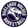 https://img.cdhjml.com/img/basketball/team/c48fa6a023f3d963f7dc8825212815d4.png