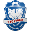 https://img.cdhjml.com/img/football/team/2f5fb7967cfb1434fb56103a7628df5f.png