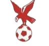 https://img.cdhjml.com/img/football/team/4802d26df935b78bb2fcdbbff36e8864.png