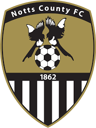 https://img.cdhjml.com/img/football/team/9e230c89a846b9cadf91884918fa7611.png