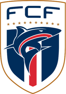 https://img.cdhjml.com/img/football/team/b78fbb9123ed9633ac77215960a8a7b3.png